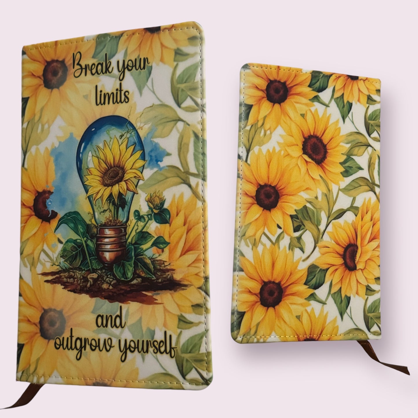 Break Your Limits Reusable Journal
