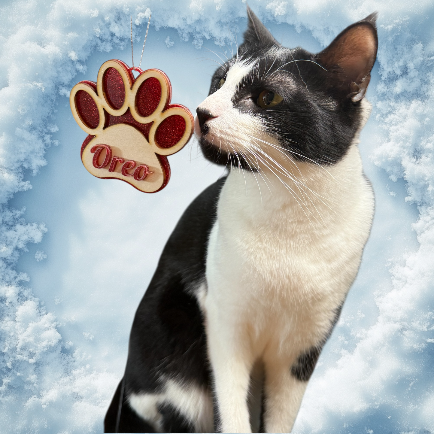 Personalized Name Ornament- For Your Cat