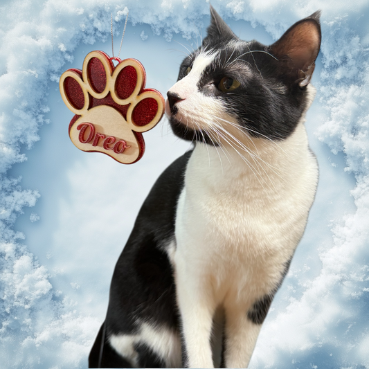 Personalized Name Ornament- For Your Cat