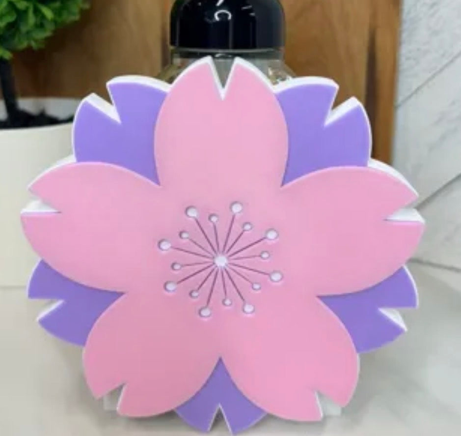 Interchangeable Soap Holders