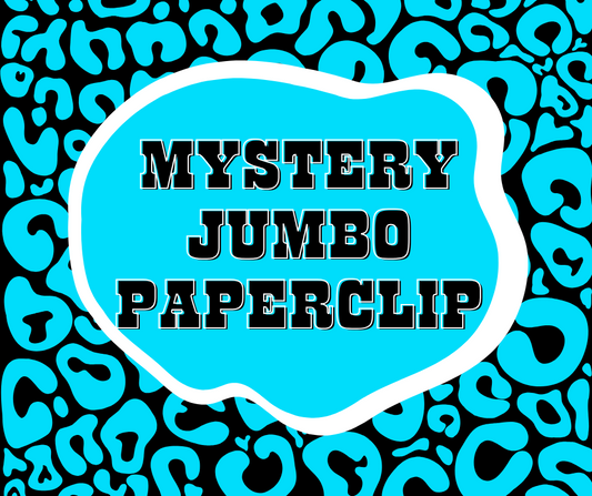 Mystery Jumbo Paperclip