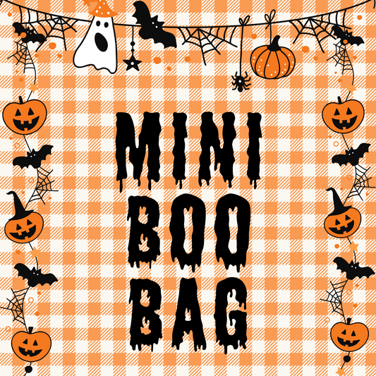 Mini Boo Bag